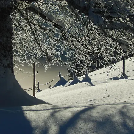 Rehnatur Allgaeu 아파트 *
